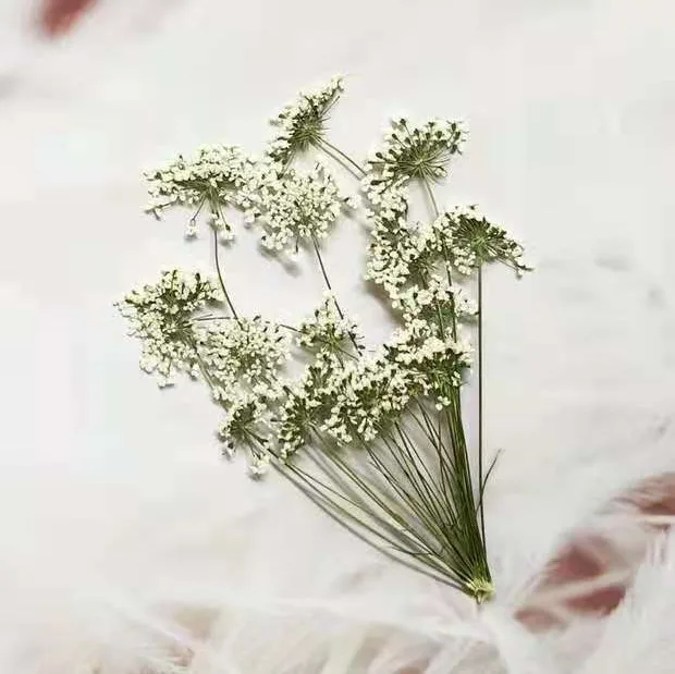 5-7 см/12 шт., снежные крошечн – обзор и цена Craft Embellishments